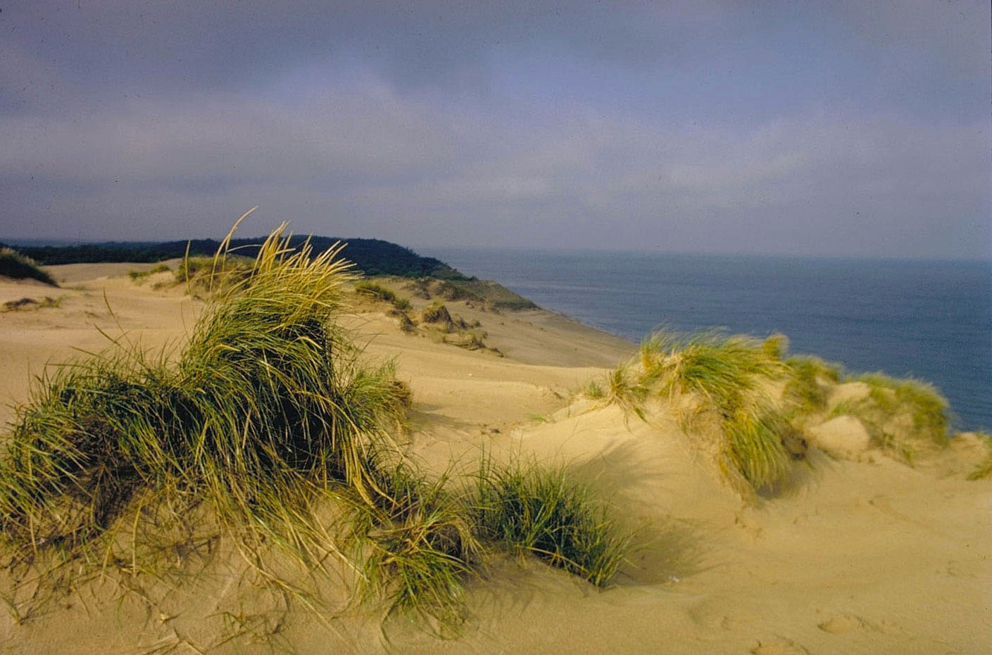 Indiana Dunes National Park